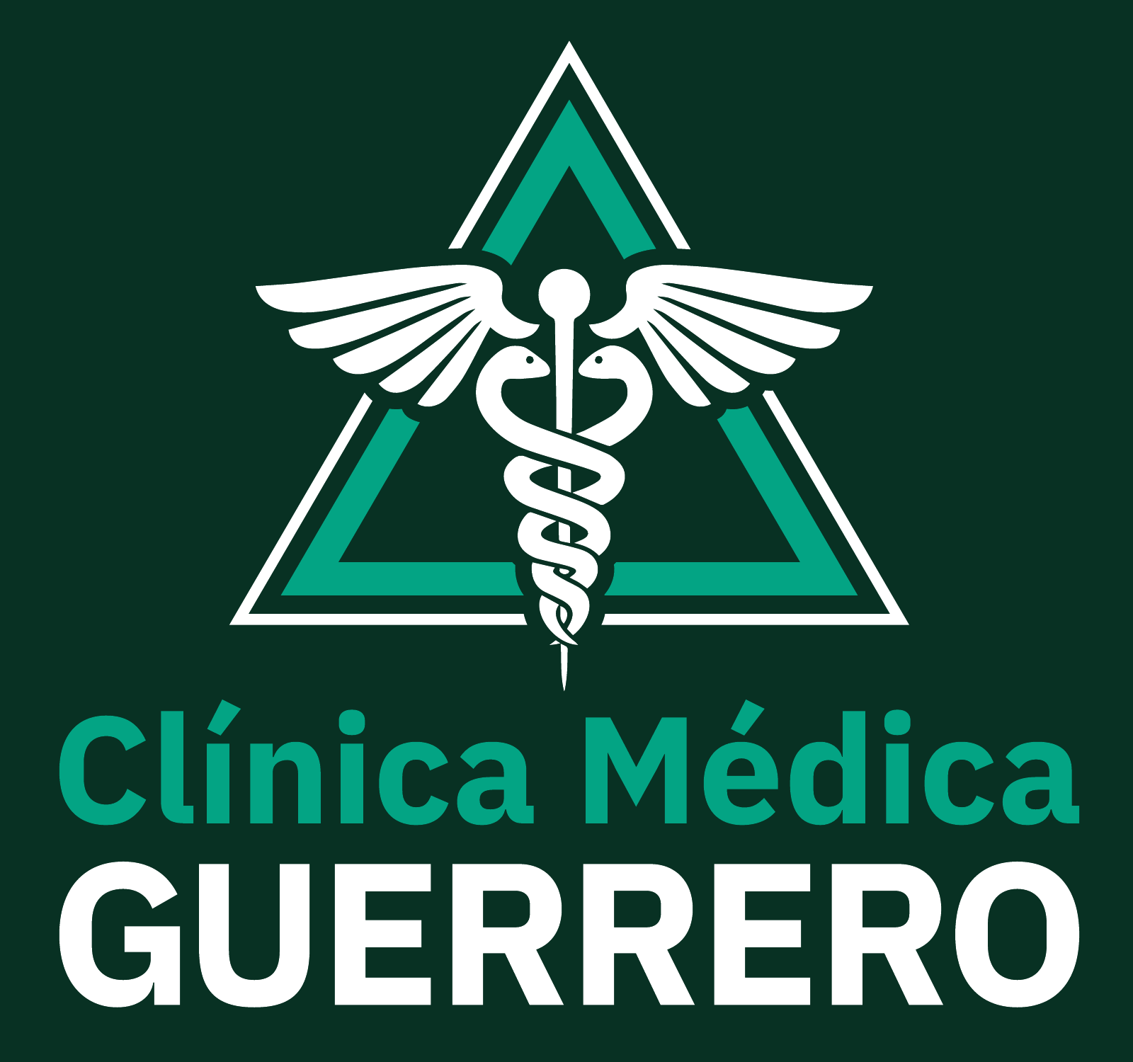 Clínica Médica Guerrero